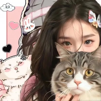 野良猫洛克:女番长